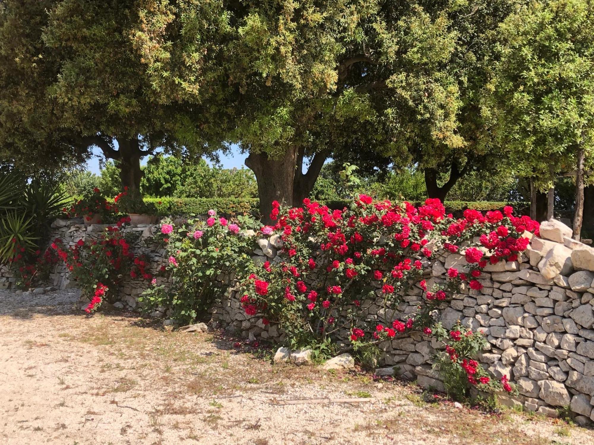 Vila Ai Pilieri Di Bagnoli Castel Del Monte  Exteriér fotografie