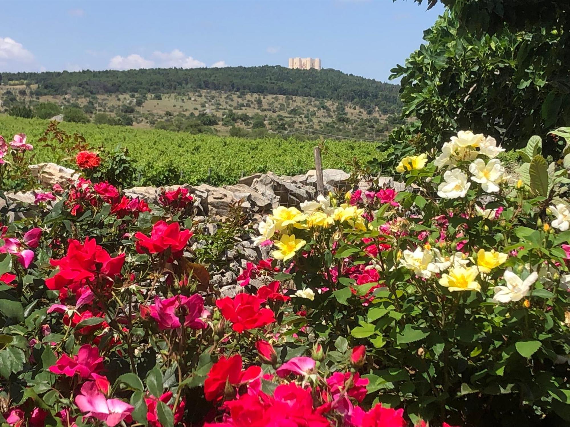 Vila Ai Pilieri Di Bagnoli Castel Del Monte  Exteriér fotografie
