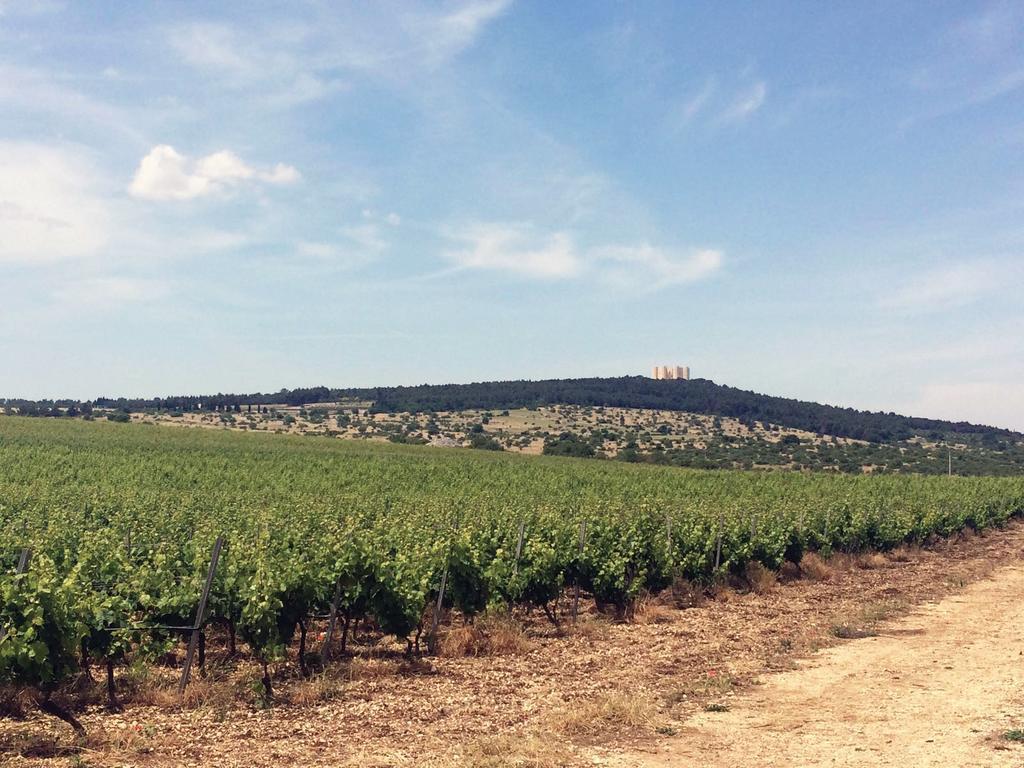 Vila Ai Pilieri Di Bagnoli Castel Del Monte  Exteriér fotografie